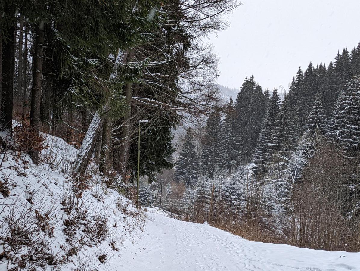Jasmin Home Vítkovice Dış mekan fotoğraf