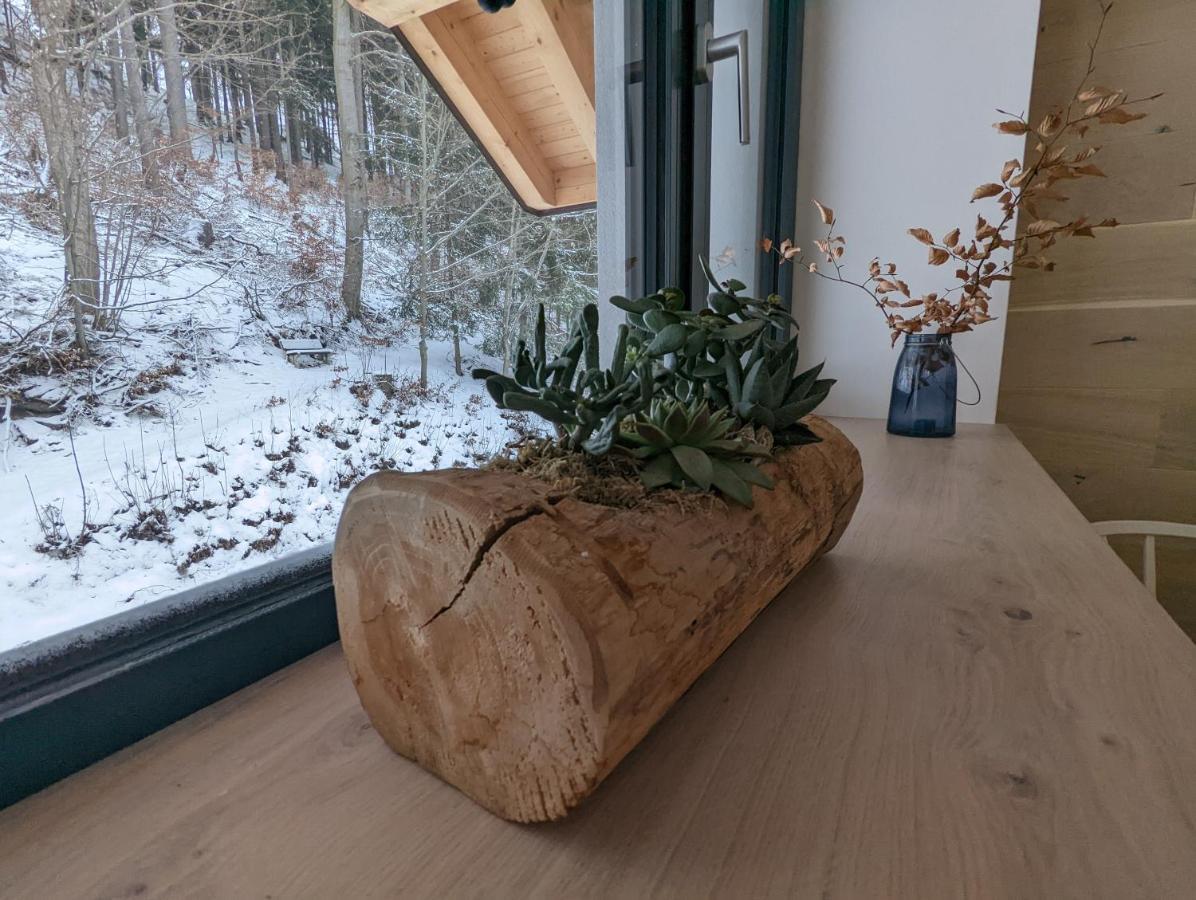 Jasmin Home Vítkovice Dış mekan fotoğraf