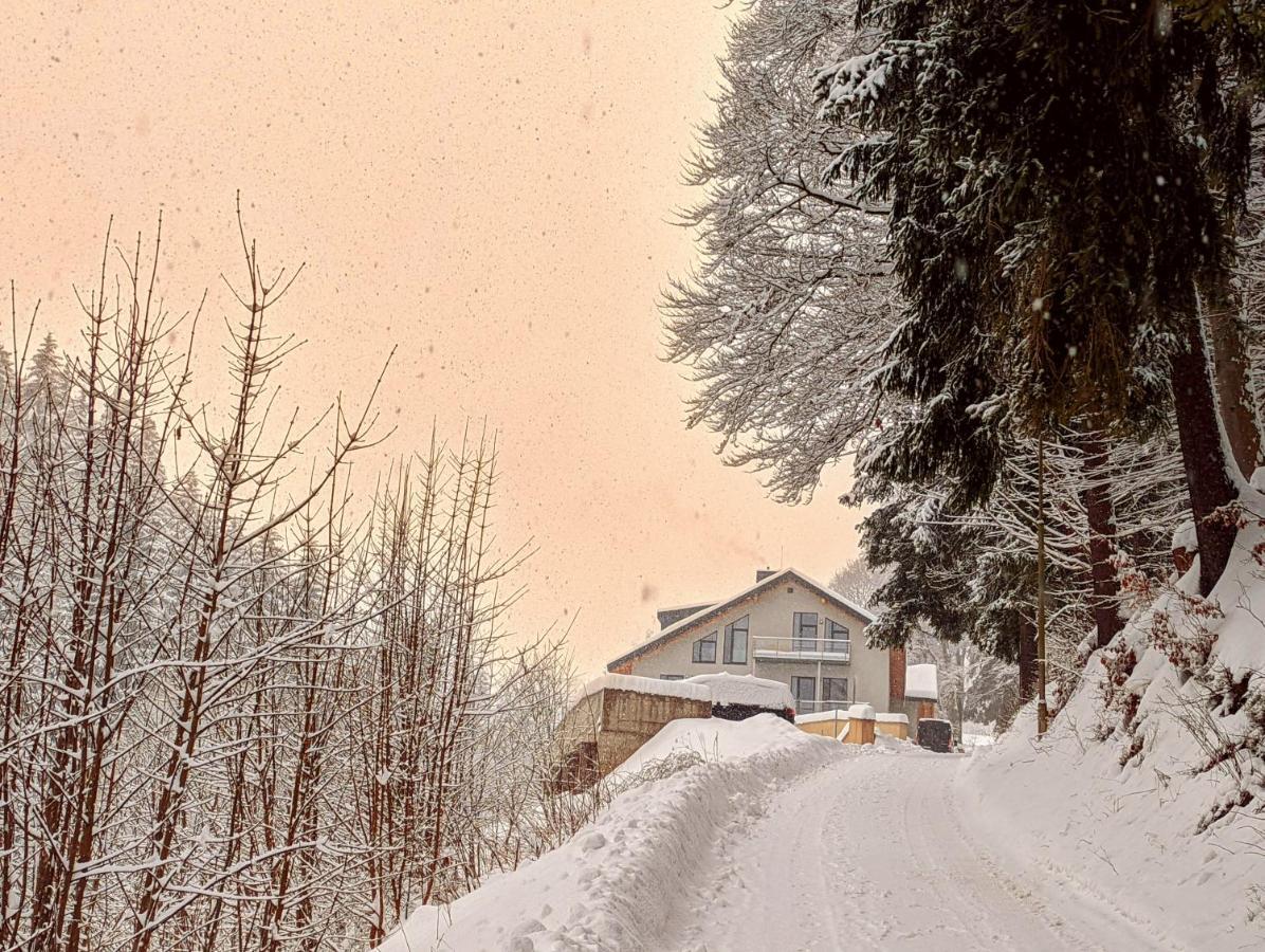 Jasmin Home Vítkovice Dış mekan fotoğraf